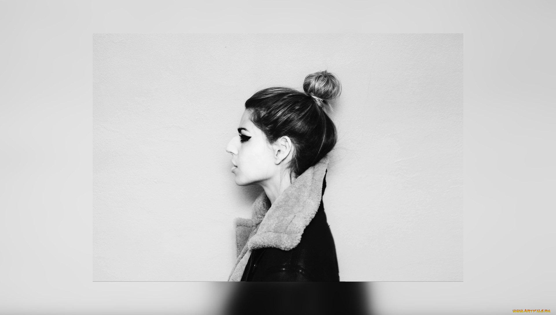 brooke fraser, , 